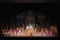 2015年3月15日　有馬バレエ発表会「眠れる森の美女」全幕