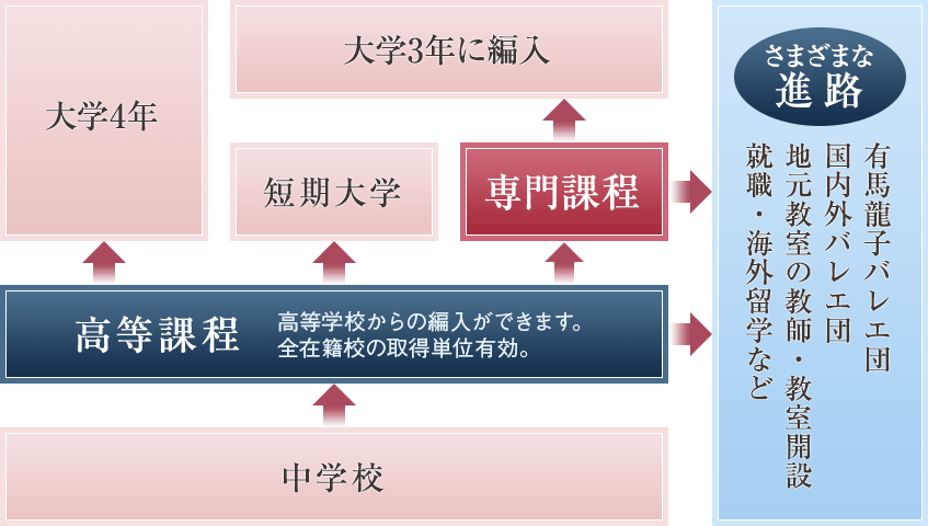 高等課程・専門課程の位置づけ